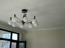 歐普餐廳吊燈主燈燈具中古風(fēng)裝飾吊燈餐廳客廳全光譜智慧光吊燈 【客廳】咖啡豆8頭全光譜智控 曬單實(shí)拍圖