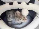 貓窩保暖冬季加厚封閉式大型貓屋可拆卸睡袋貓床中小型犬狗窩睡墊 灰色龍貓 M碼【15斤內】 【一窩兩用】品質(zhì)保障防風(fēng)保暖 曬單實(shí)拍圖