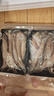 龍頭魚(yú)野生龍頭魚(yú)新鮮豆腐魚(yú)新鮮特級鼻涕魚(yú)海鮮九肚魚(yú)水潺 野生海捕龍頭魚(yú)10-15條/斤5斤裝 曬單實(shí)拍圖