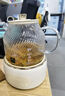 World Kitchen康寧全玻璃養生壺恒溫壺煮茶壺煮茶器1L辦公室家用花茶壺燒水壺電熱水壺茶壺煮水壺（茶漏升級款） 曬單實(shí)拍圖