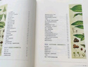 甲骨文叢書(shū)   茶：一片樹(shù)葉的傳說(shuō)與歷史 作者：【荷蘭】喬治·范·德瑞姆（ George van Driem） 著(zhù) 李萍 谷文國 周瑞春 王巍 譯    社會(huì )科學(xué)文獻出版社 曬單實(shí)拍圖