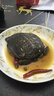 柒島甲魚鮮活生鮮食用野外王八老鱉大甲魚外湖野養(yǎng)凈重 2-2.2【洪澤湖生態(tài)放養(yǎng)】 曬單實(shí)拍圖