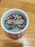 簡詩肉肉盆栽室內(nèi)幼兒園三八節(jié)日禮物多肉植物帶盆土玉露新手綠植花卉 小米星+高腳盆+彩石+小蘑菇+土 曬單實(shí)拍圖