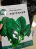 北蔬 大葉菠菜種子種苗秋四季播種蔬菜種籽 寒雄1號大葉菠菜種子200g 曬單實(shí)拍圖