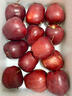 山姆大叔花牛蘋(píng)果甘肅天水蘋(píng)果【閃送】嬰兒蘋(píng)果紅蛇果水果禮盒中秋禮品 【甜度升級】嚴選中大果 | 單果75mm+ 5斤裝【80%選擇-超值推薦】?jì)?.5斤 曬單實(shí)拍圖