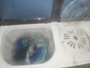 長(cháng)虹半自動(dòng)波輪洗衣機 家用老式雙缸雙桶 洗脫一體機 大容量脫水甩干機 以舊換新 洗脫22.8公斤【洗滌16公斤+脫水6.8公斤】 曬單實(shí)拍圖