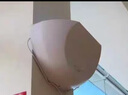 飛利浦商用滅蠅燈粘捕式餐廳飯店滅蠅藍光2025新款捕蠅蚊滅蚊器蚊子神器 飛利浦單管/白色8W/40-60㎡ 無(wú)規格 曬單實(shí)拍圖
