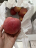 枝純品牌生鮮 2025正宗陜西洛川蘋(píng)果 當季現摘新鮮紅富士蘋(píng)果脆甜多汁凈重4.5斤 單果70mm+ 曬單實(shí)拍圖