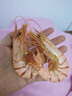 海仙津九節蝦干即食大蝦干烤蝦干對蝦干特大斑節蝦干大烤蝦海產(chǎn)干貨 【大號款】九節蝦干250g 20-25只 曬單實(shí)拍圖