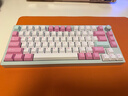 SKN青鳥75 機(jī)械鍵盤  三模無線客制化鍵盤 QMK/VIA開源改鍵網(wǎng)頁驅(qū)動(dòng)鍵盤  板簧Gasket鋁坨坨75%鍵盤 景泰-電泳【8000mAh】 81鍵 曬單實(shí)拍圖