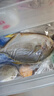 翔泰 海南深海金鯧魚2.4斤/3-4條凈重 BAP認(rèn)證 生鮮魚類 海鮮水產(chǎn)  曬單實(shí)拍圖