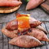京覓山東煙薯25號蜜薯 凈重4.8斤 單果160g+ 烤地瓜 源頭直發(fā) 曬單實(shí)拍圖