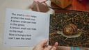 【點(diǎn)讀版 校園版】威廉海尼曼分級閱讀親子時(shí)光版本GK2 50冊Time for kids LevelC-E?? 5-8歲幼少兒繪本啟蒙 支持小達人小蝌蚪等點(diǎn)讀筆 曬單實(shí)拍圖