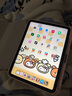 Apple/蘋果 iPad11英寸 A16芯片2025年款 平板電腦 (256GB WLAN版/學(xué)習(xí)辦公娛樂)銀色 曬單實拍圖