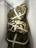 【活蟹】江問(wèn)魚(yú) 大閘蟹全母2.3兩-2.6兩 8只裝 泰州生鮮禮盒足斤足兩去繩足重 曬單實(shí)拍圖