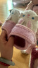 小茸0-3歲嬰幼兒軟底學(xué)步鞋小兔 魔術(shù)貼穩步鞋 卡通家居幼兒園地板鞋 米白/淺粉 15.5  適合腳長(cháng)14-14.5cm 曬單實(shí)拍圖