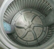 美的（Midea）波輪洗衣機(jī)全自動(dòng)家用 MB55V36E 5.5公斤 宿舍租房 迷你洗衣機(jī)小型 隨心洗 以舊換新 家電國家補(bǔ)貼 曬單實(shí)拍圖