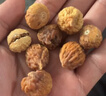 西域美農 無(wú)花果干500g 0硫熏0漂白無(wú)花果 可做孕婦零食即食泡水滋補煲湯 曬單實(shí)拍圖