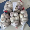 山東金鄉蒜大蒜出口標準精選大蒜頭蔬菜調料單果5cm 出口標準網(wǎng)兜裝箱 455g 5-5.5cm特大 曬單實(shí)拍圖