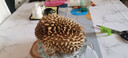 京鮮生京東超市泰國金枕榴蓮2-3斤保3.5房樹(shù)熟冷凍新鮮進(jìn)口水果 曬單實(shí)拍圖