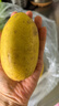 有機檸檬新鮮有機黃檸檬四川檸檬安岳優(yōu)力克云南香水檸檬鮮檸檬 無(wú)籽-云南香水瑕疵果5斤-適合自用 有機標：一箱一碼 曬單實(shí)拍圖