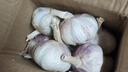 農(nóng)多鮮河南干蒜新鮮正宗紫皮大蒜 多瓣蒜當季新鮮農(nóng)產(chǎn)品蔬菜 凈重5斤大果 曬單實拍圖