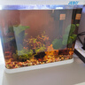 瘋狂水草坨草魚(yú)缸水草植物直接入缸真水草4棵魚(yú)缸造景套餐 源頭直發(fā)包郵 曬單實(shí)拍圖