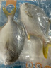 翔泰海南深海金鯧魚(yú)700g 2條 火鍋 生鮮魚(yú)類(lèi) BAP認證 海鮮水產(chǎn) 中秋 曬單實(shí)拍圖