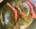 【活鮮】特大青蟹鮮活 超大母膏蟹公蟹肉蟹 中秋禮品 肉蟹母蟹 1.5斤 (3-5只） 曬單實拍圖