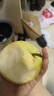 京覓河北皇冠青梨凈重3斤裝單果250g+新鮮水果 產(chǎn)地直發(fā) 曬單實(shí)拍圖