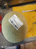 網(wǎng)紋瓜1粒裝1.2kg 曬單實(shí)拍圖