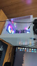 華碩品牌臺式機 酷睿i5 12600KF/14600KF RTX4060/4060Ti/5060/5060ti/5070游戲組裝電腦DIY游戲整機 配一 I5 12490F 丨16G丨RTX3050 曬單實(shí)拍圖