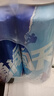 雪花啤酒【100萬+人已購】勇闖天涯 500ml*24聽 經(jīng)典實惠 中秋送禮 曬單實拍圖
