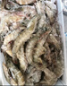 鮮京采 厄瓜多爾白蝦 凈重3斤/盒 特大號20-30規格   30-45只/盒 曬單實(shí)拍圖