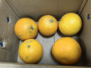花音谷四川愛(ài)媛38號果凍橙當季應季橙子 新鮮當季水果柑橘桔手剝凍橙 單果 60-70mm 2斤帶箱【凈重1.5斤】 曬單實(shí)拍圖