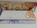 瓦爾基里（VALKYRIE）VK99 Pro 鍵影斑斕 客制化機械鍵盤(pán) 三模2.4G/有線(xiàn)/藍牙 熱插拔 VK99 Pro 鍵影斑斕-光之卷 曬單實(shí)拍圖