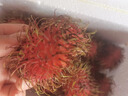 鮮聞果【順豐】泰國紅毛丹新鮮水果5斤毛荔枝毛丹果熱帶紅牡丹當季整箱A 2斤精選品質(zhì)【順豐】 3A級 曬單實(shí)拍圖
