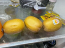 佳沛（zespri）新西蘭 陽(yáng)光金果12粒單果約122-146g 獼猴桃 中秋水果禮盒 曬單實(shí)拍圖