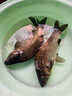 鮮活黃金鯽魚(yú)300-400g/條 曬單實(shí)拍圖