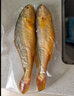 海名威 冷凍黃花魚(yú)700g/2條 寧德大黃魚(yú)地標 海鮮水產(chǎn) 生鮮魚(yú)類(lèi) 海魚(yú) 曬單實(shí)拍圖