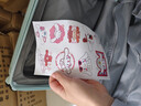 袋鼠多功能行李箱前置開(kāi)口大容量旅行箱萬(wàn)向輪拉桿箱學(xué)生結實(shí)耐用皮箱 檸檬黃【前開(kāi)口+多功能】 20英寸 【可登機短途】 曬單實(shí)拍圖