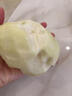 南步四川蒼溪大雪梨 廣元特產(chǎn)黃金梨稱(chēng)坨梨施家梨黃皮梨麻皮新鮮水果 8斤 精選小果【9枚裝】 曬單實(shí)拍圖