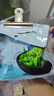 云山半海藻沙拉200g*5袋裙帶菜開(kāi)袋即食海草海帶絲涼拌菜日式壽司 曬單實(shí)拍圖