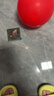 萬家全敬茶杯結(jié)婚 喜碗托盤套裝陪嫁碗筷杯子茶具套裝結(jié)婚改口婚慶用品 鎏金龍鳳呈祥【茶杯1對】 曬單實(shí)拍圖