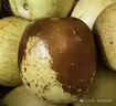 綠聯(lián)適用紅米K70/K80至尊版鋼化膜紅米turbo4pro手機膜K50/60/70E保護膜防藍光膜超薄防摔抗指紋 標準款【高清膜*2片】帶神器 紅米k80/80pro 曬單實(shí)拍圖