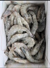 果勛鮮凍超大號黑虎蝦凈重2.8斤大蝦海鮮蝦類(lèi)海鮮水產(chǎn) 曬單實(shí)拍圖
