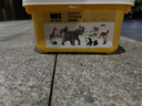 babycare&bctoys動(dòng)物玩具動(dòng)物桶熊貓老虎獅子長(cháng)頸鹿模型玩具 曬單實(shí)拍圖