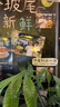 飛利浦（PHILIPS）電動(dòng)剃須刀旋風(fēng)3系PRO刮胡刀 風(fēng)馳切剃6D浮動(dòng)刀頭 生日禮物送老公送男友 國(guó)家補(bǔ)貼 曬單實(shí)拍圖