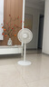 先鋒(SingFun)家用電風(fēng)扇落地扇米白風(fēng)扇節(jié)能宿舍小風(fēng)扇臺(tái)地扇空氣循環(huán)扇靜音大風(fēng)量風(fēng)扇DLD-D17 曬單實(shí)拍圖