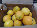 贛南臍橙 正宗江西贛州橙子 新鮮水果整箱 孕婦甜橙 團購送禮彩箱 年貨節 凈重9-10斤裝 單果200g-300g+ 曬單實(shí)拍圖